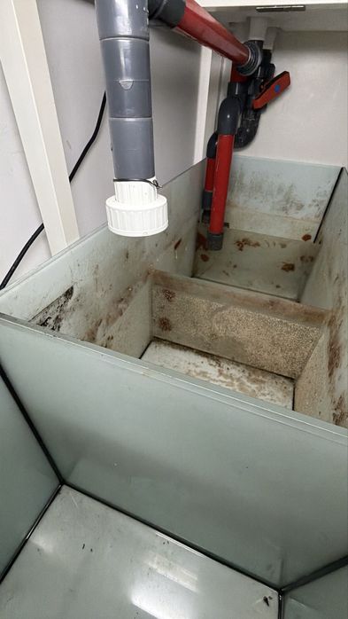 Aquario 150x50x50 com Armario e Sump