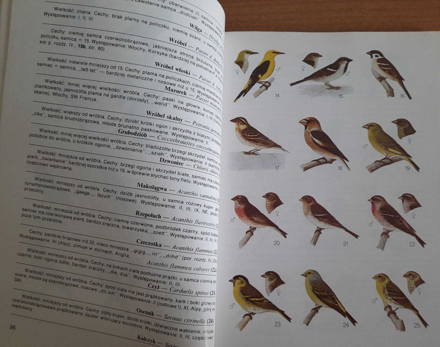 "Ptaki" H. Frieling , przewodnik atlas do rozpoznawania ptaków