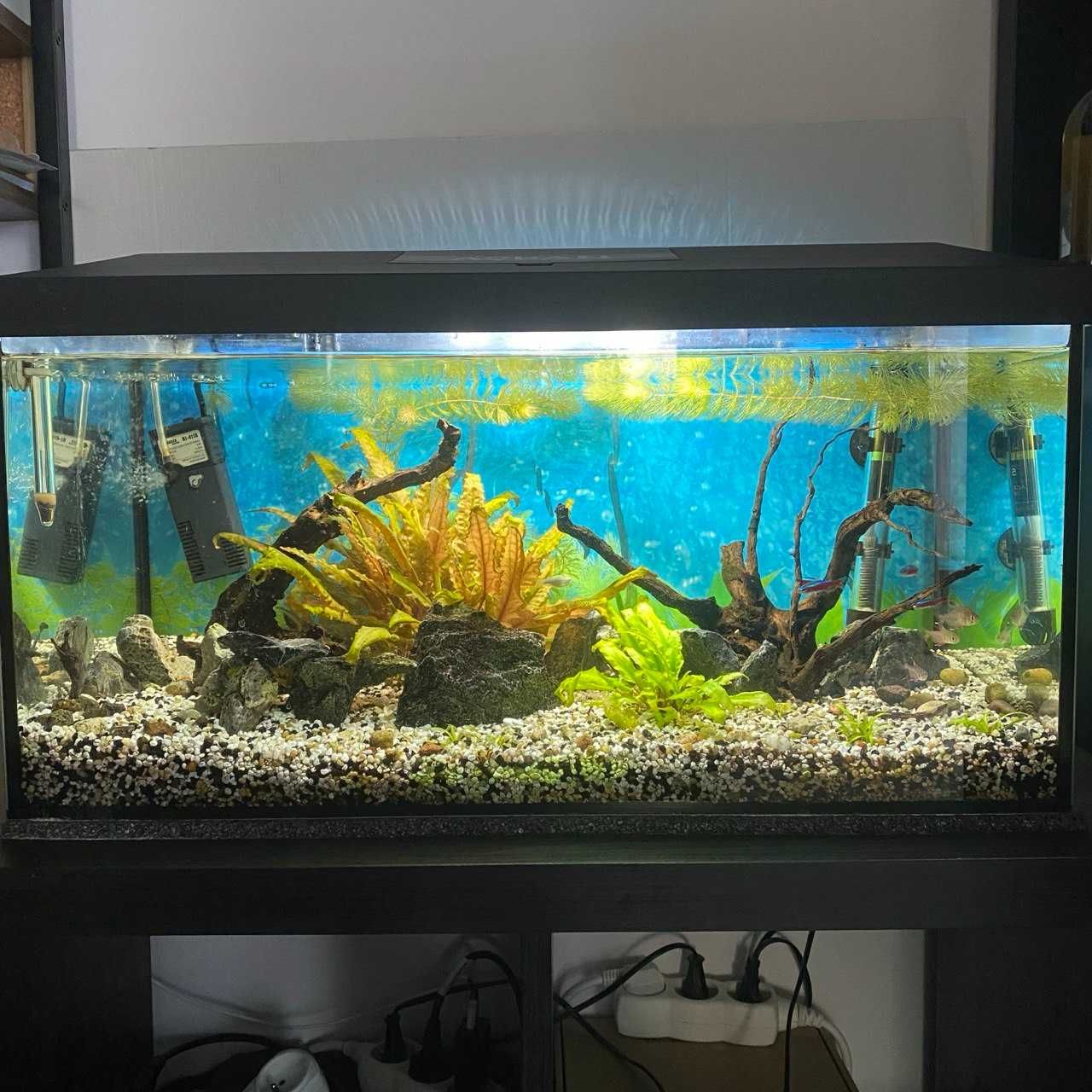 aquael aquarium 60x30x30