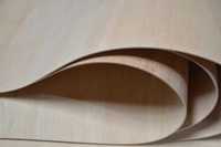 Sklejka elastyczna ceiba  gr. 3,5,8 mm  wymiar 2500x1220