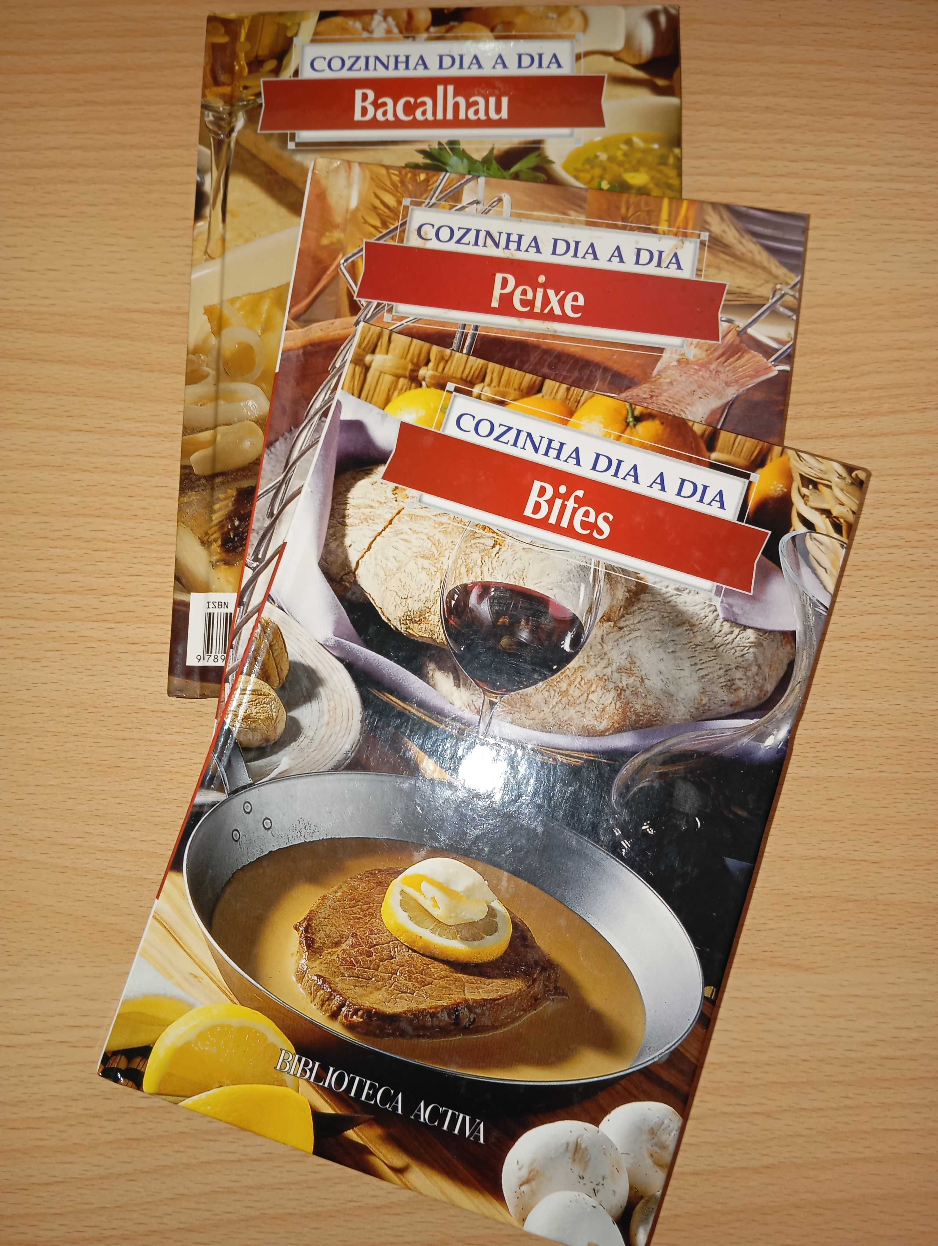 Lote 7 livros culinária Biblioteca Activa