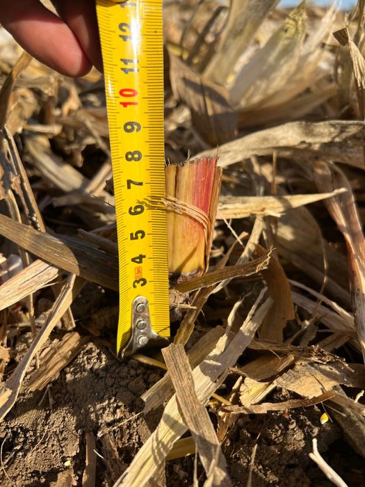 Жатка кукурузная Джон Дір 892 з сечкарем. Обмін