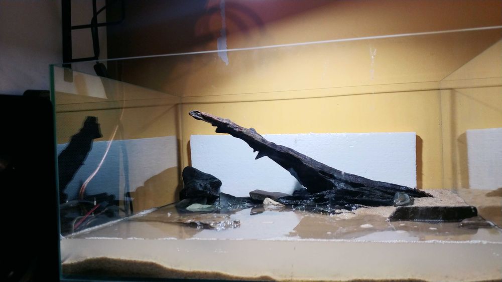 Akwarium 50l 50x40x25