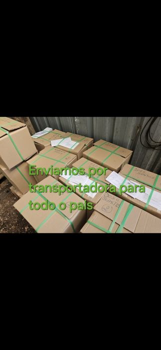 Graminha brasileira (VENDEMOS UMA SOLUÇÃO)