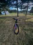 Rower MTB giant