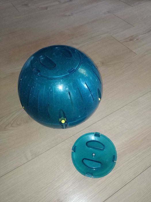 Duża kula 25 cm dla chomika gryzonia