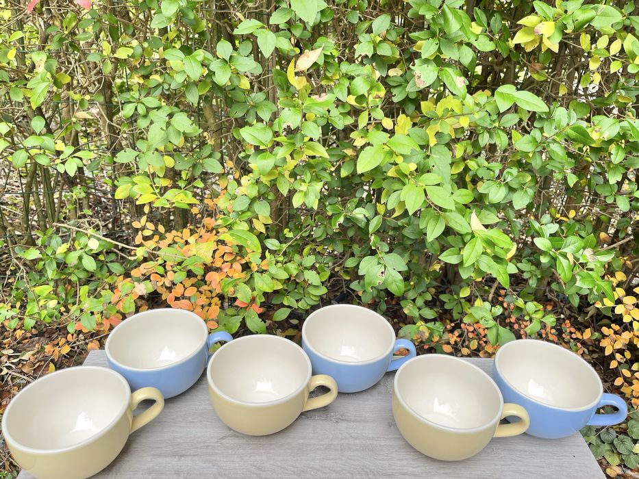 Чашки  Tams Pottery England