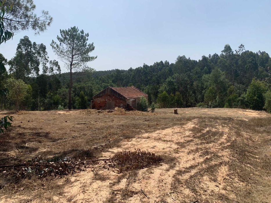 Terreno misto com 11460m2 e casa para recuperar - Salir de Matos