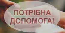Допомога багатодітній сім'ї з лежачою бабусею