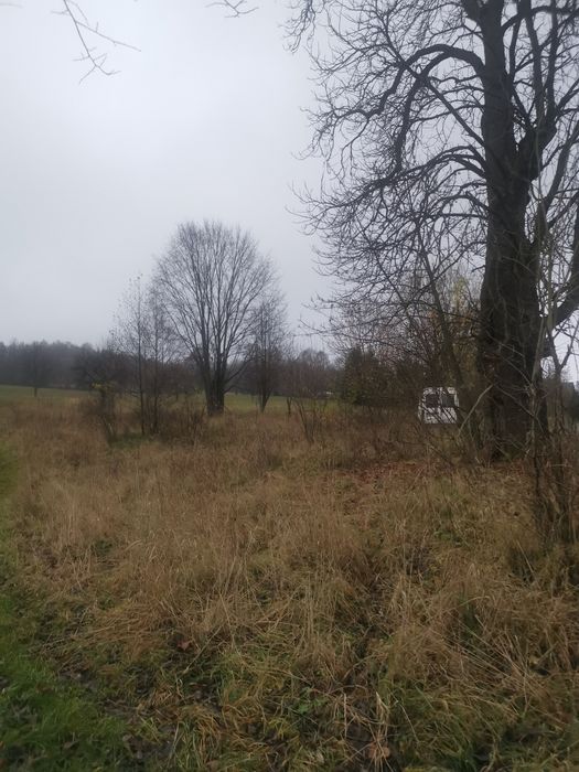 Sprzedam działkę w Kotlinie Kłodzkiej