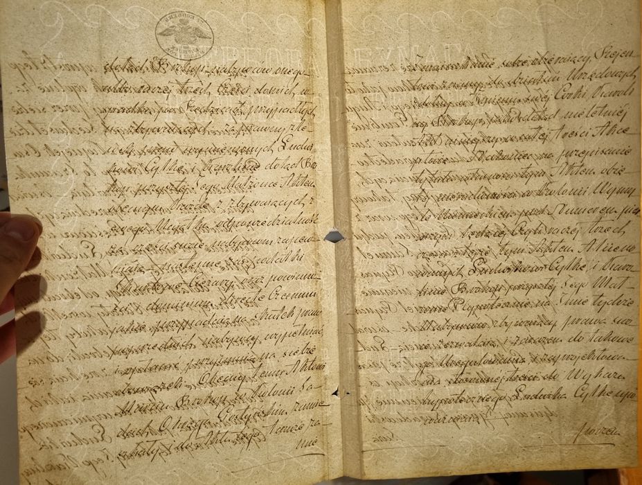 Dokumenty polskie z 1834 r. Znak wodny piękne