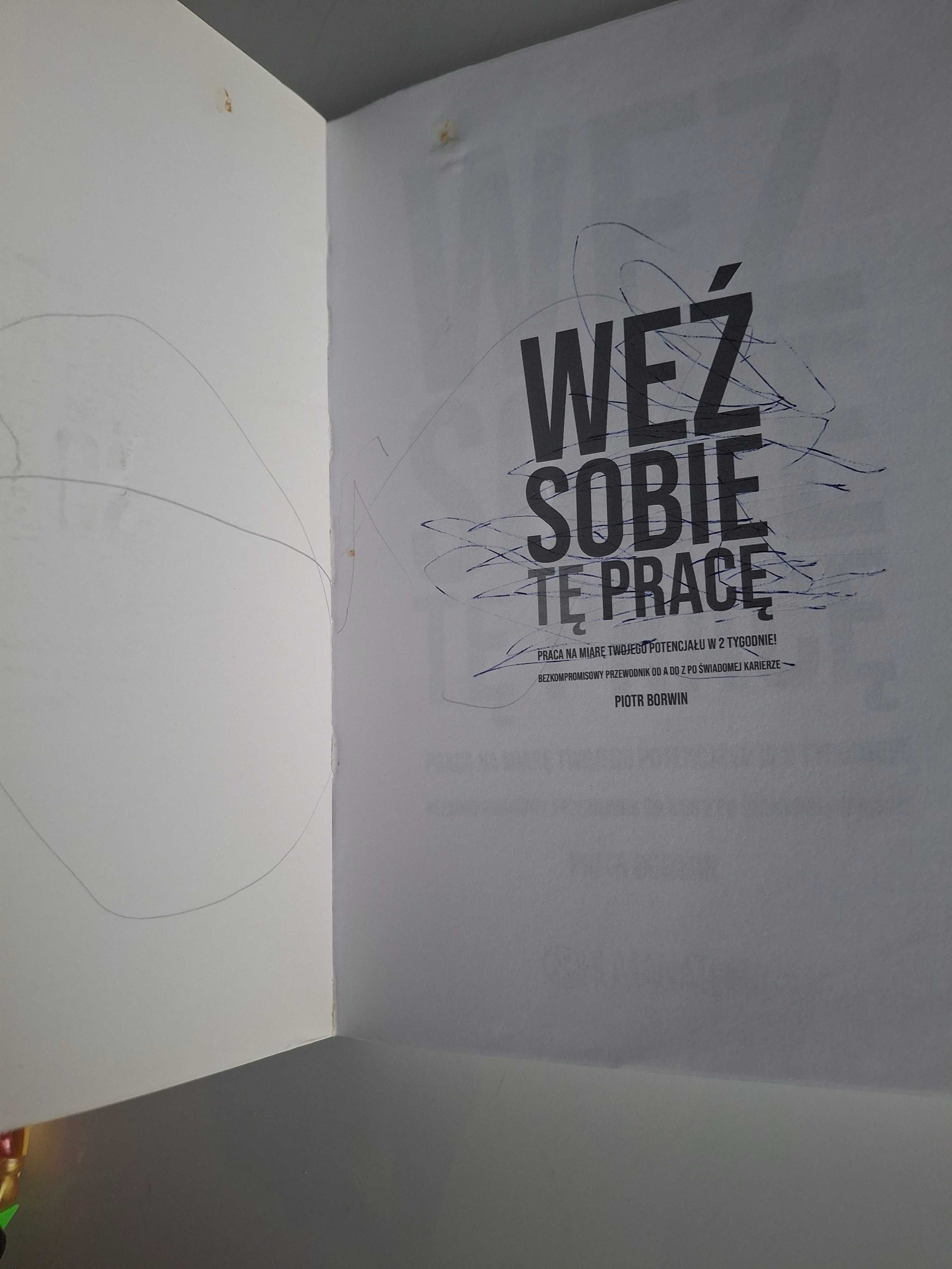 Weź sobie tę pracę Książka s