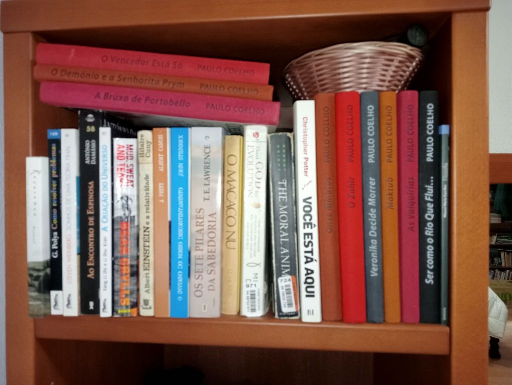 Livros, centenas de títulos