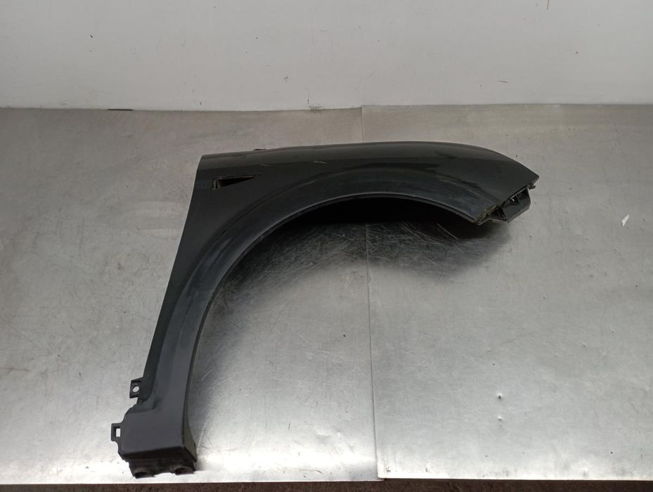 Guarda-lamas direito RENAULT Scénic II (JM0/1_)