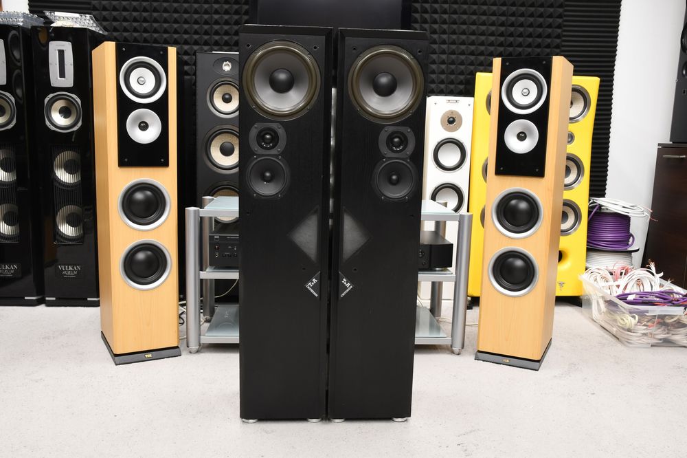 kolumny Głośnikowe podłogowe stereo T+A Criterion T100