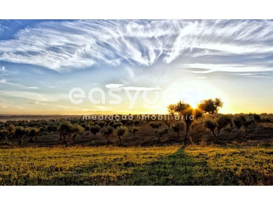 Exclusivo Herdade 92 ha com potencial turístico