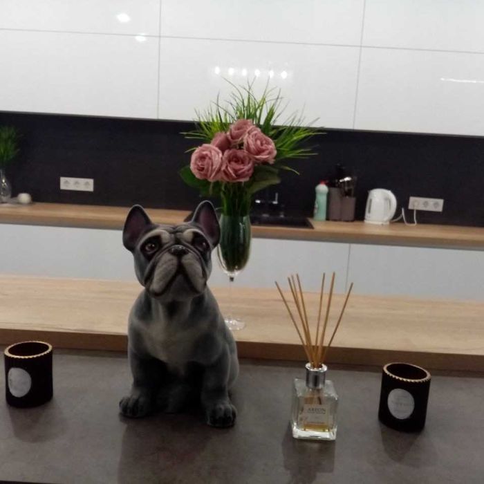 Сдам дом посуточно