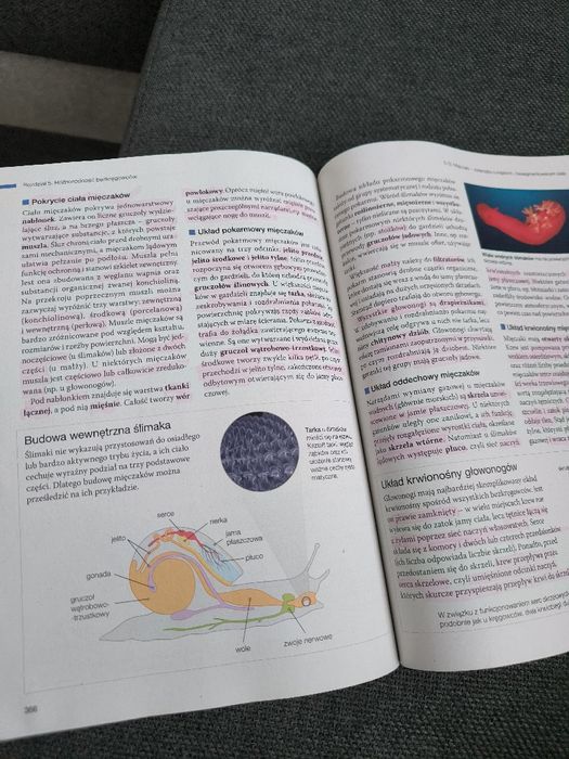 Biologia poziom rozszerzony kl 2