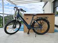 Rower elektryczny Dasch Coreway S5 250W