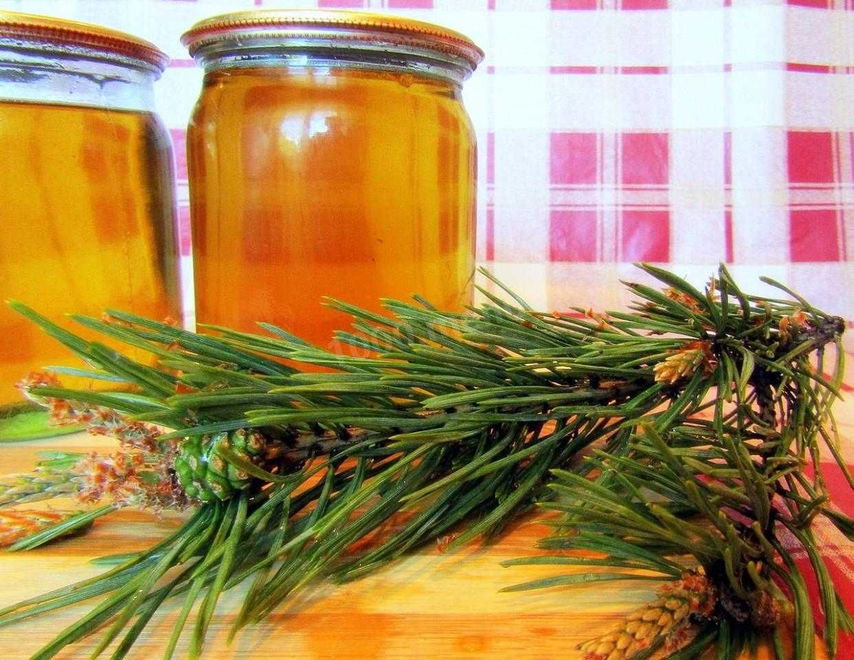 мед сосновий з пагона бруньки