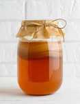 Kombucha - grzyb herbaciany
