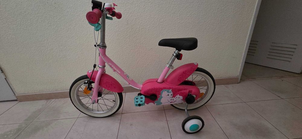 BtWin 500 Unicórnio 14