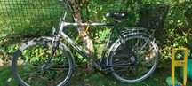 Rower Holenderski BATAVUS