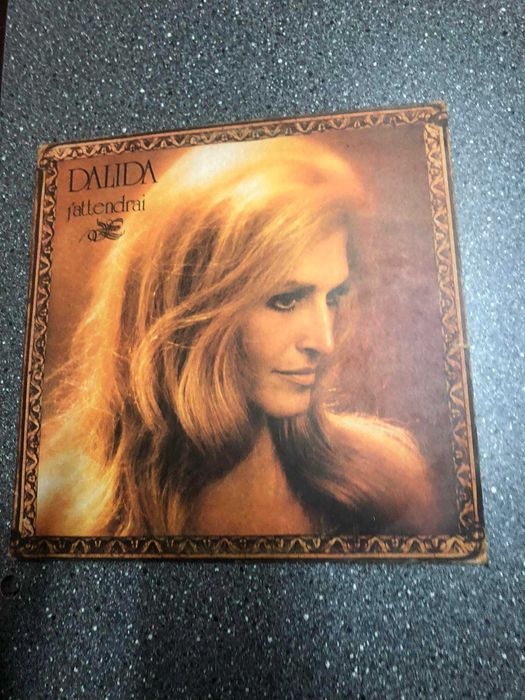 Vinil records Lp professional