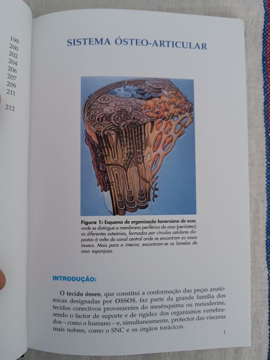 Livro "Fundamentos de Orto-Traumatologia para Técnicos de Saúde"
