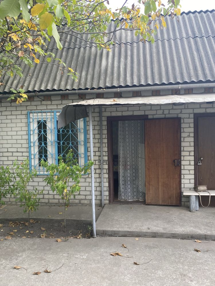 Будинок в Омельнику