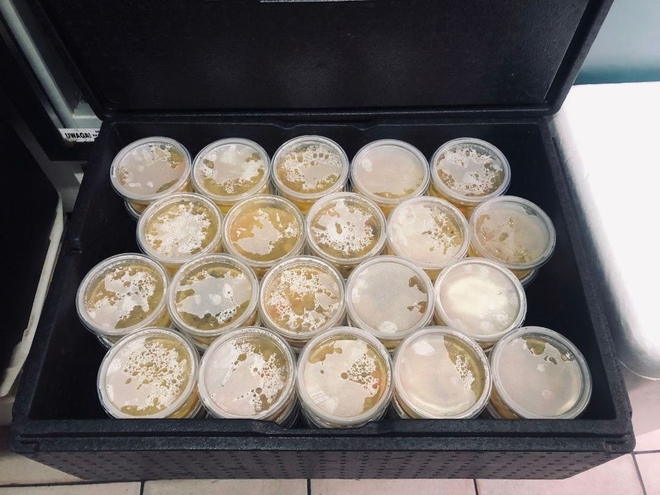 Комплексні обіди з доставкою від 120 грн