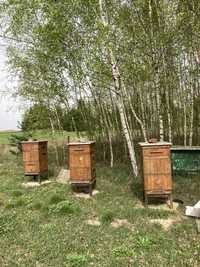 Ule wielkopolskie , akcesoria pszczelarskie,bez pszczół