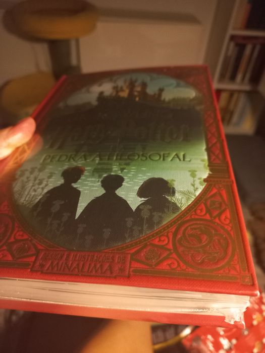 Livro novo POP UP, Harry Potter e a pedra filosofal,