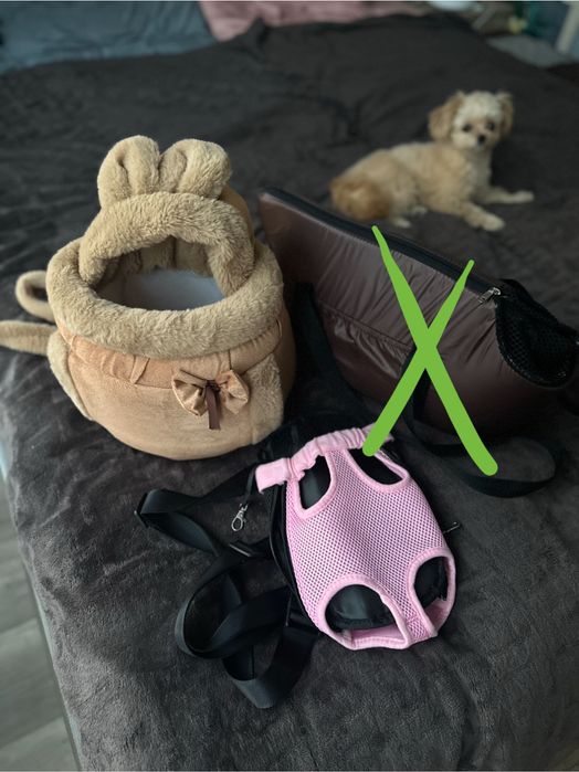 Переноски одяг взуття сухий корм та інше для собак цуциків та кошенят