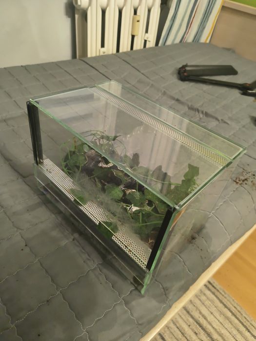 Terrarium 30x20x20 Gilotyna