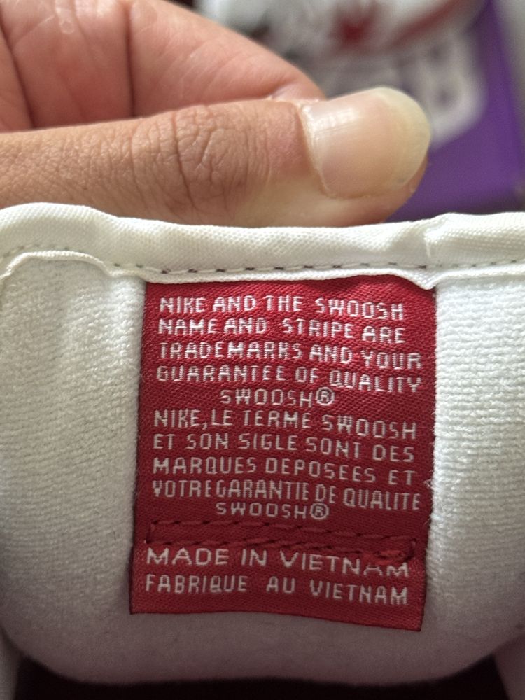 Nike dunk SB chicago.