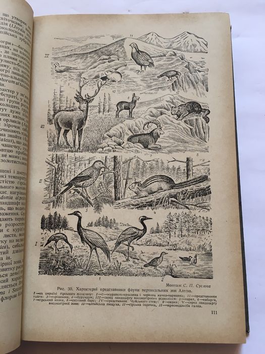 Фізична географія СРСР / 1950 р. / С.П. Суслов