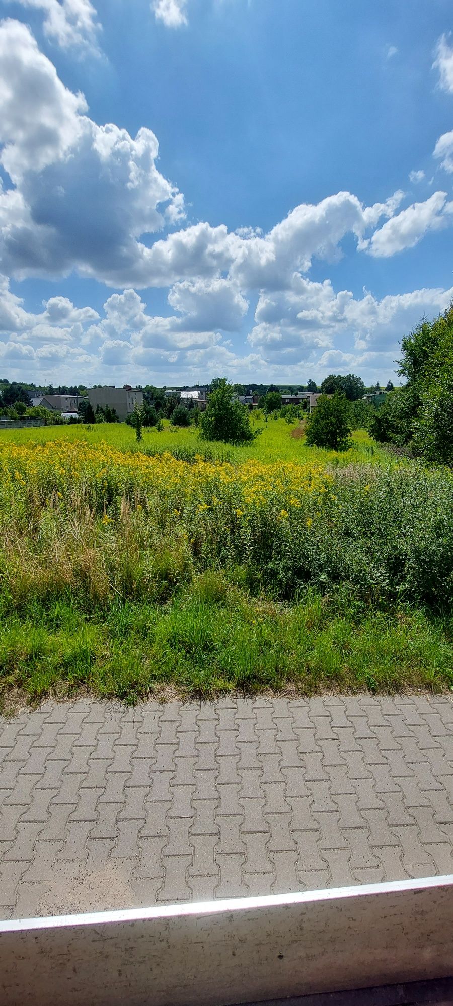 Usługi kosiarką bijakową/Glebogryzarka separacyjna