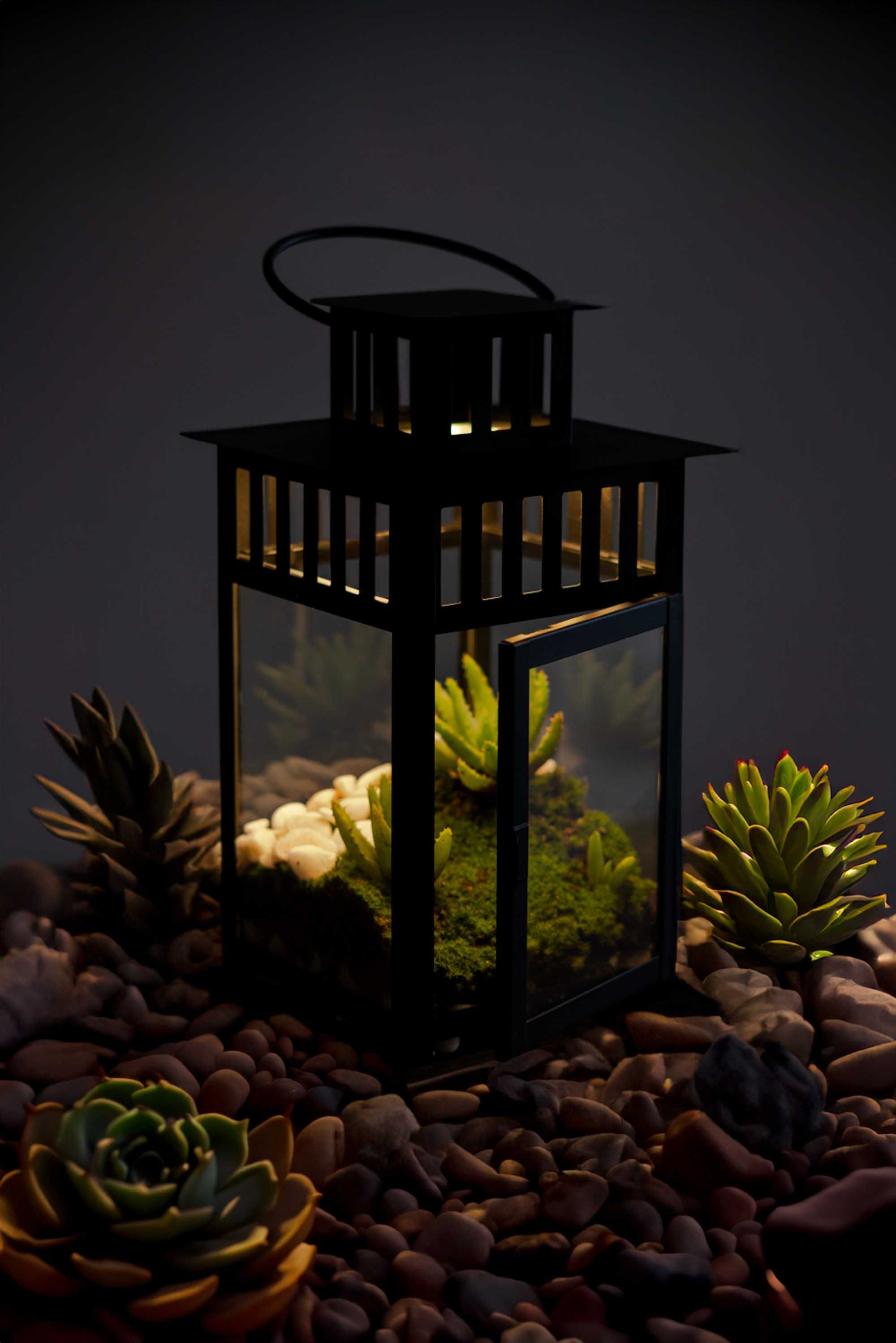 Mini Jardim Suculentas Iluminado