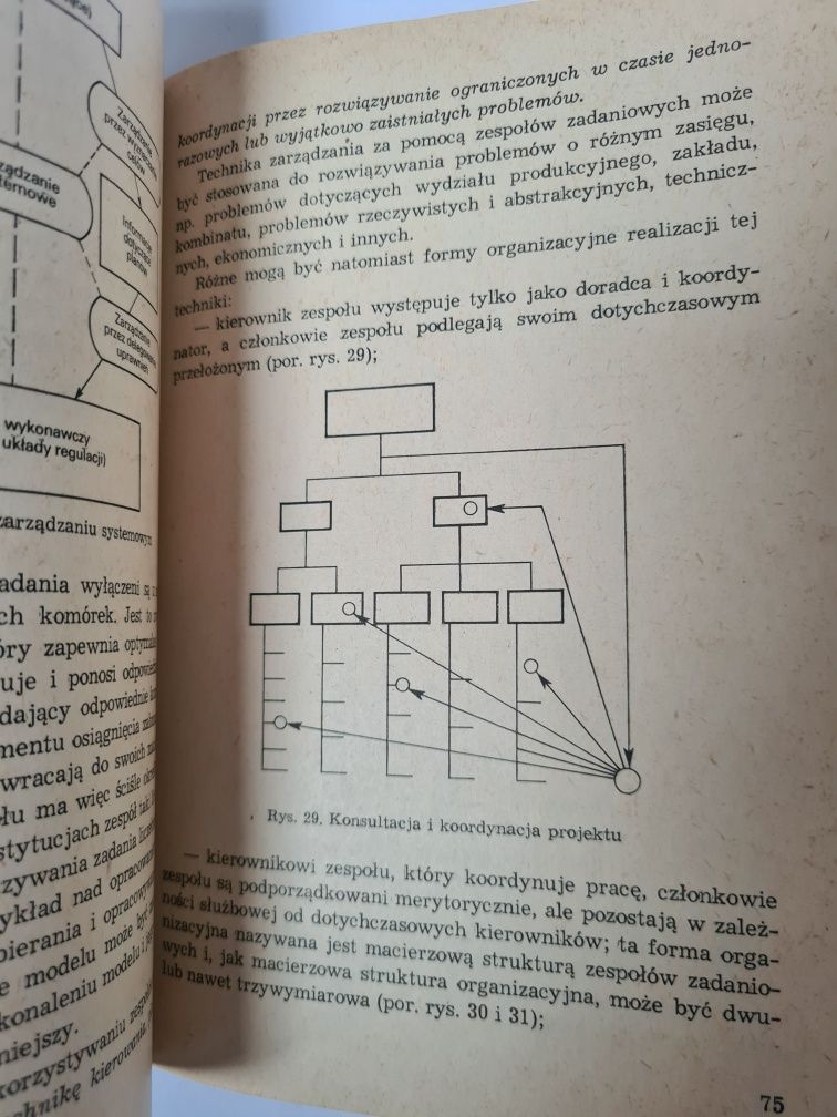 Projektowanie systemów zarządzania - Jerzy Trzcieniecki