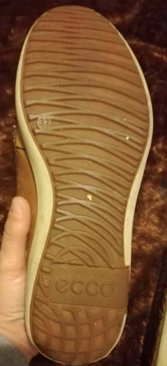 Sapatos castanhos, em pele