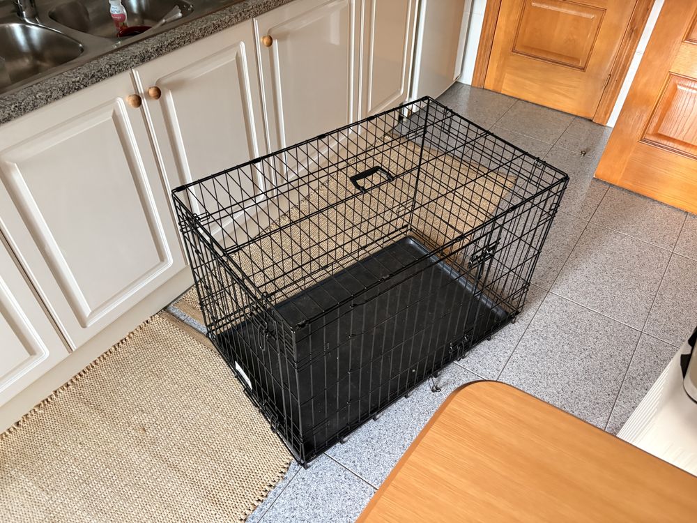 Jaula para cães nova