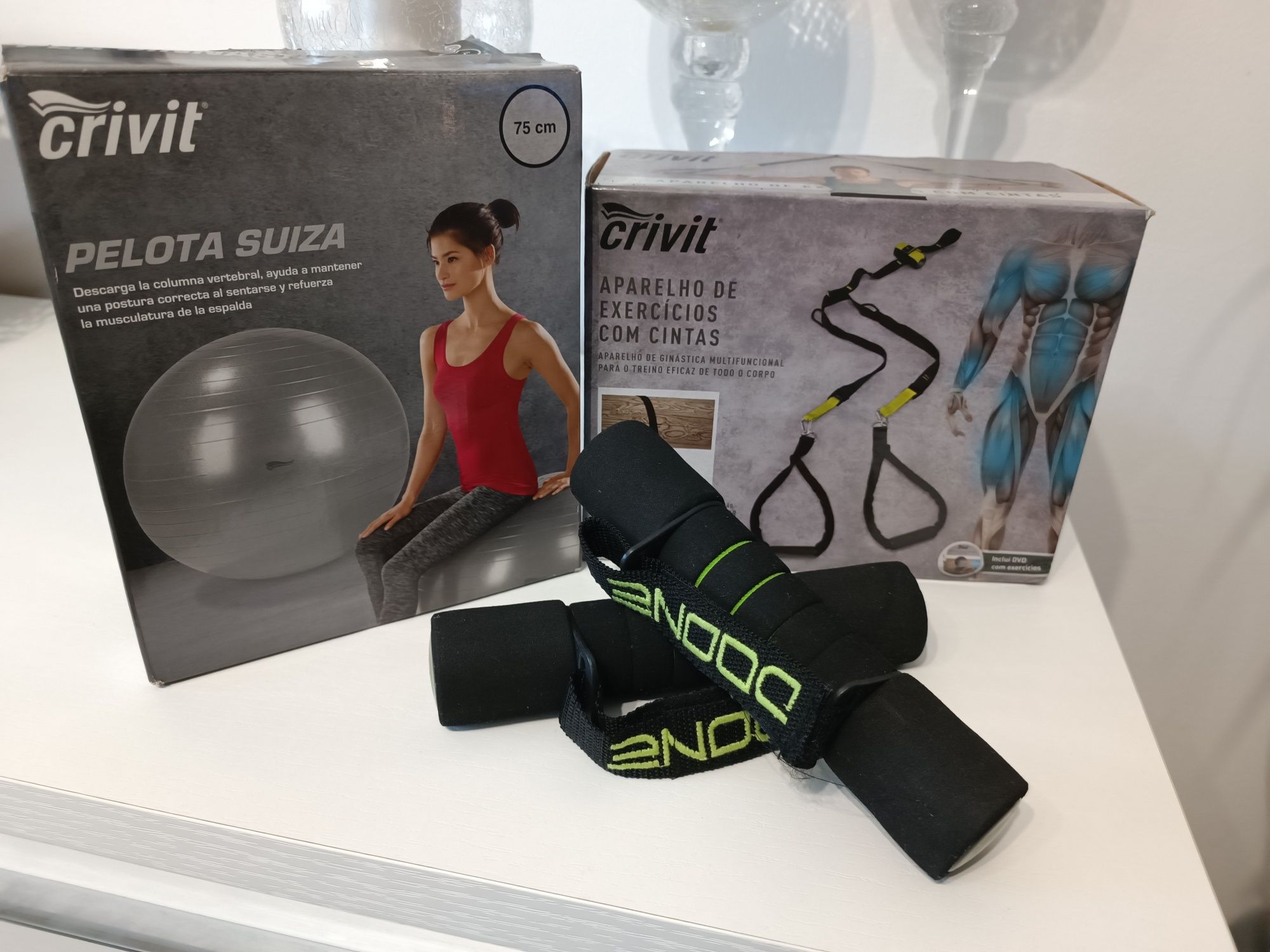 Cordas tipo TRX, bola pilates e pesos