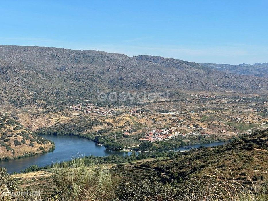 Magnifico Terreno Agrícola com 226810 m2 na região do Douro Superior.
