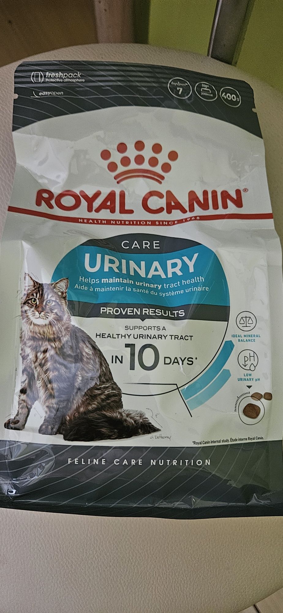 Karma sucha dla kota Royal Canin