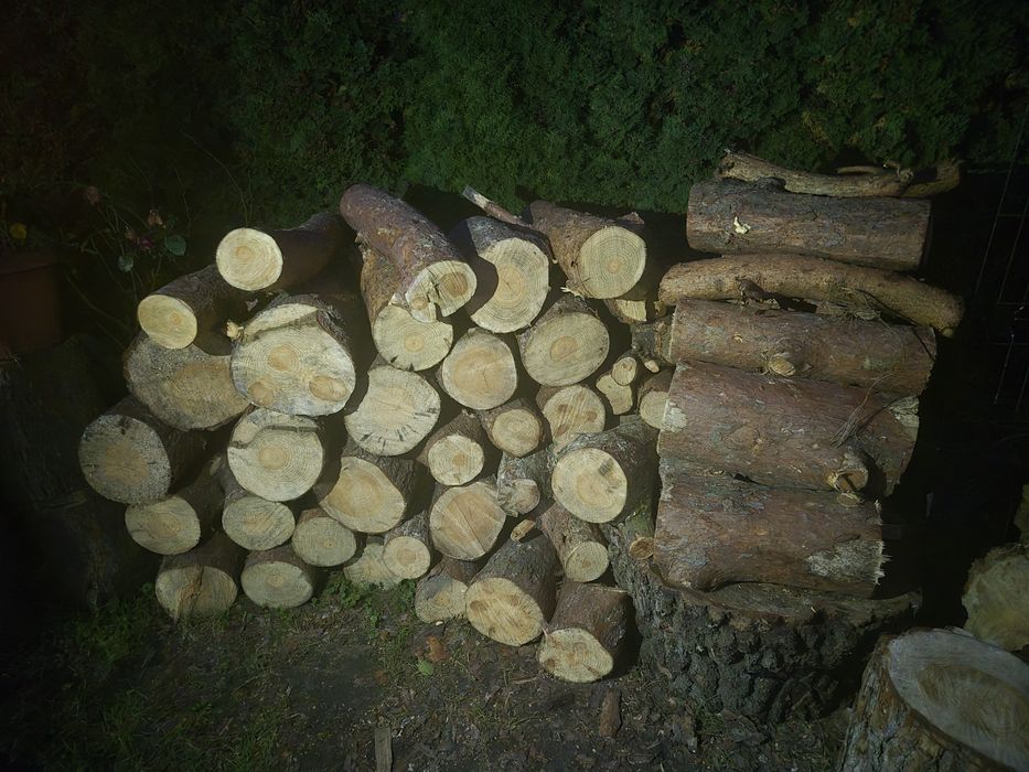 Drewno opałowe sosna/ brzoza