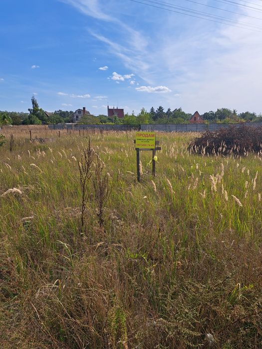 Участок Боромыки на берегу Десны