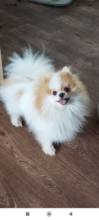 Шикарный мальчик ( ВЯЗКА )