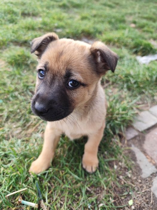 Oddam tylko w dobre ręce!!