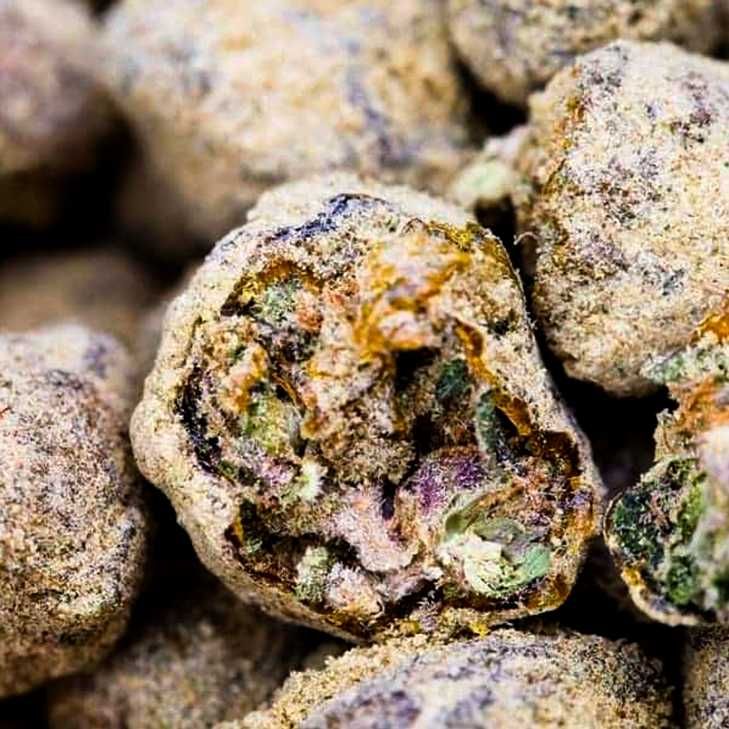 Nasiona marihuany Auto Moon Rock | 100% gwarancja